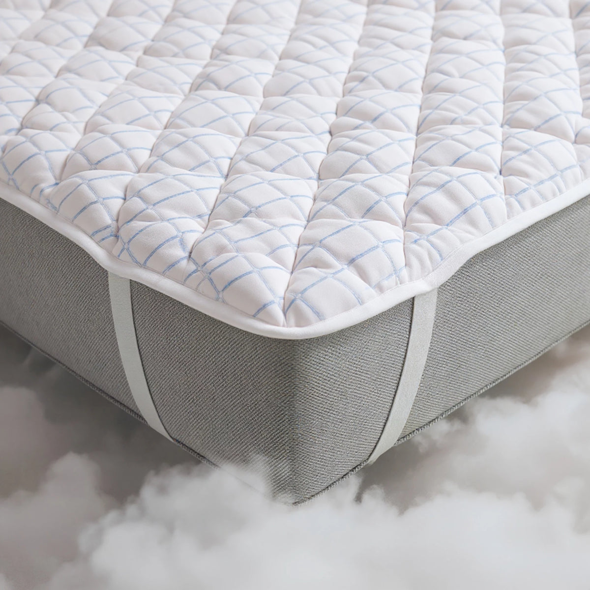 Directe frisheid, elke avond opnieuw